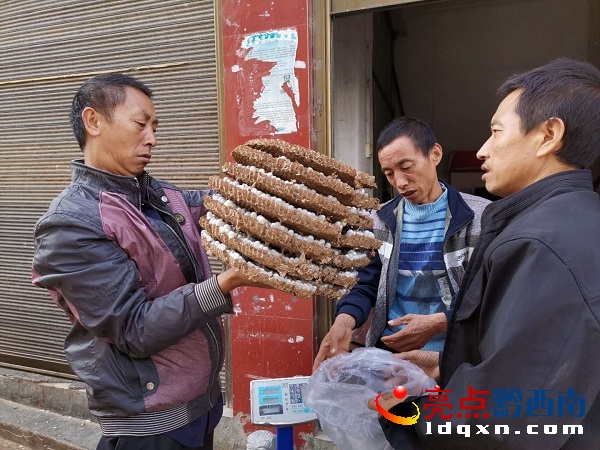 兴义市洛万乡：胡蜂蜂蛹大量上市助力群众增收致富(图2)